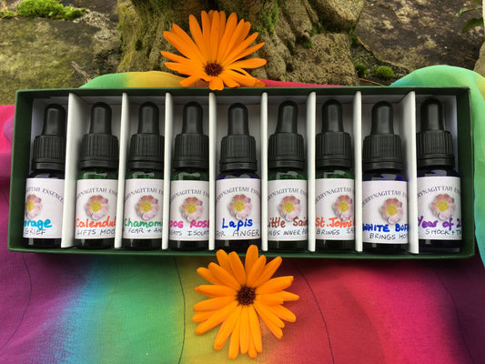 **NEW** Essences for Turbulent Times BOXED SET November 2020