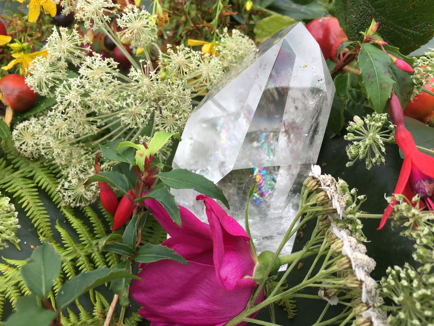 Treasure of Temerius (28 plants)