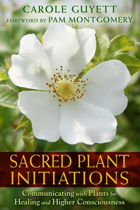 Sacred Plant Initiations Book