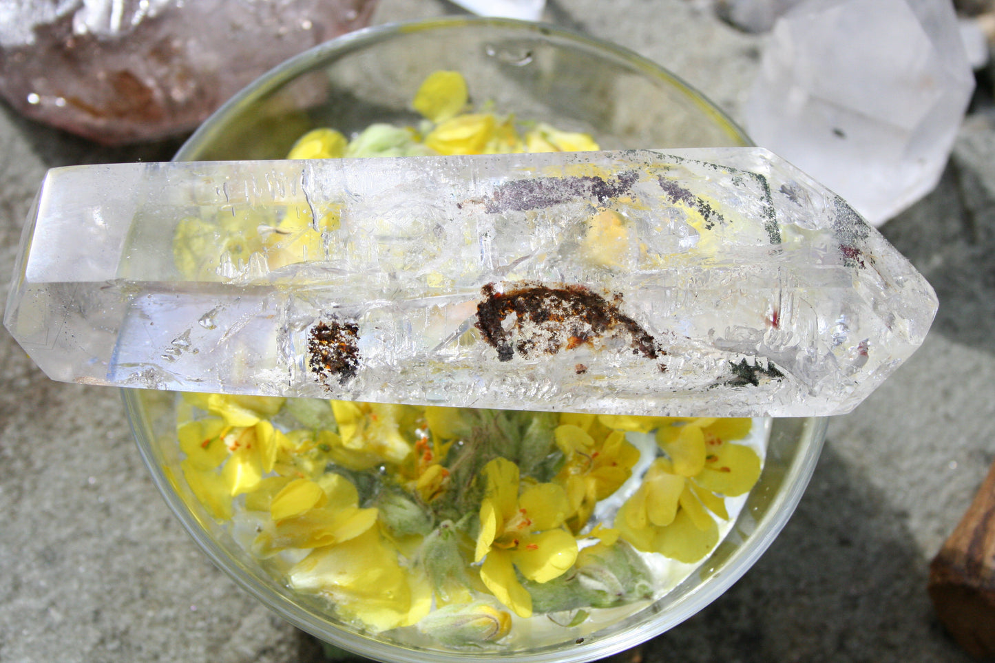 Mullein Crystal Unicorn